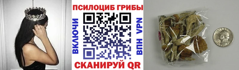 Галлюциногенные грибы MAGIC MUSHROOMS Купить закладки Курск